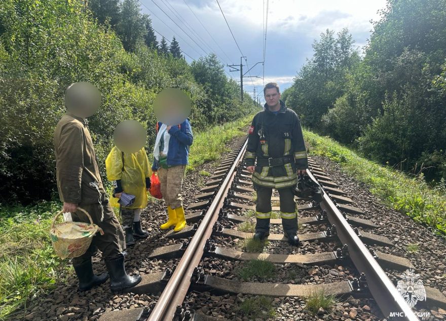 В Тверской области двое взрослых и ребенок заблудились в лесу В Тверской области двое взрослых и ребенок заблудились в лесу