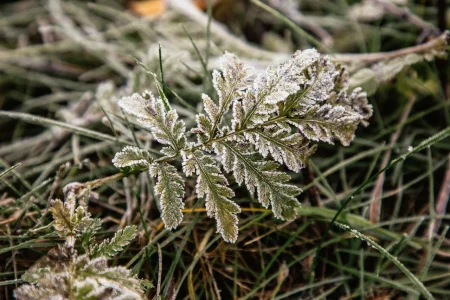 В августе центральную часть России ждет двойное похолодание Двойное похолодание