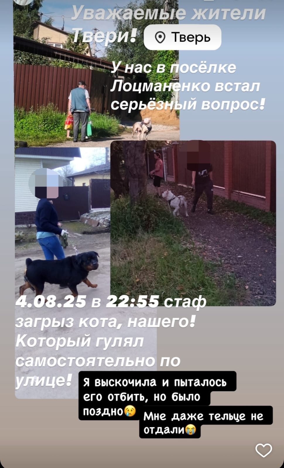 собак