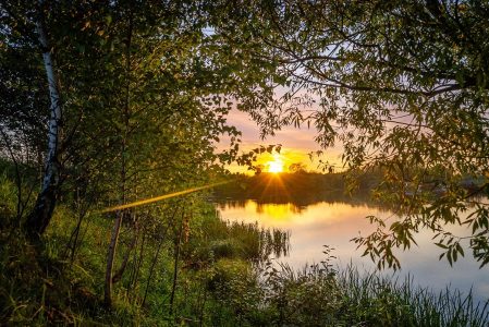 Синоптики сообщили, когда в Тверскую область вернется лето лето