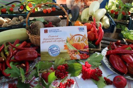 Жителям Тверской области предлагают поделиться своими овощами и фруктами Жителям Тверской области предлагают поделиться своими овощами и фруктами