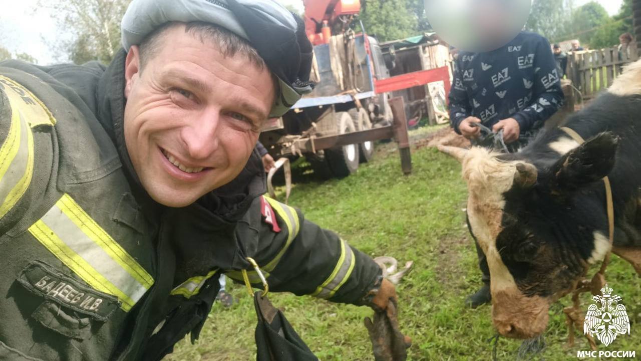 В деревне под Тверью спасли бычка, который угодил в колодец
