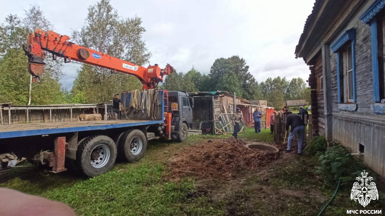 В деревне под Тверью спасли бычка, который угодил в колодец