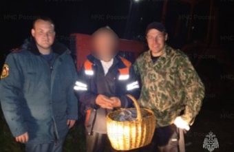 За сутки в Тверской области вывели из лесов больше десяти заблудившихся грибников заблудившихся