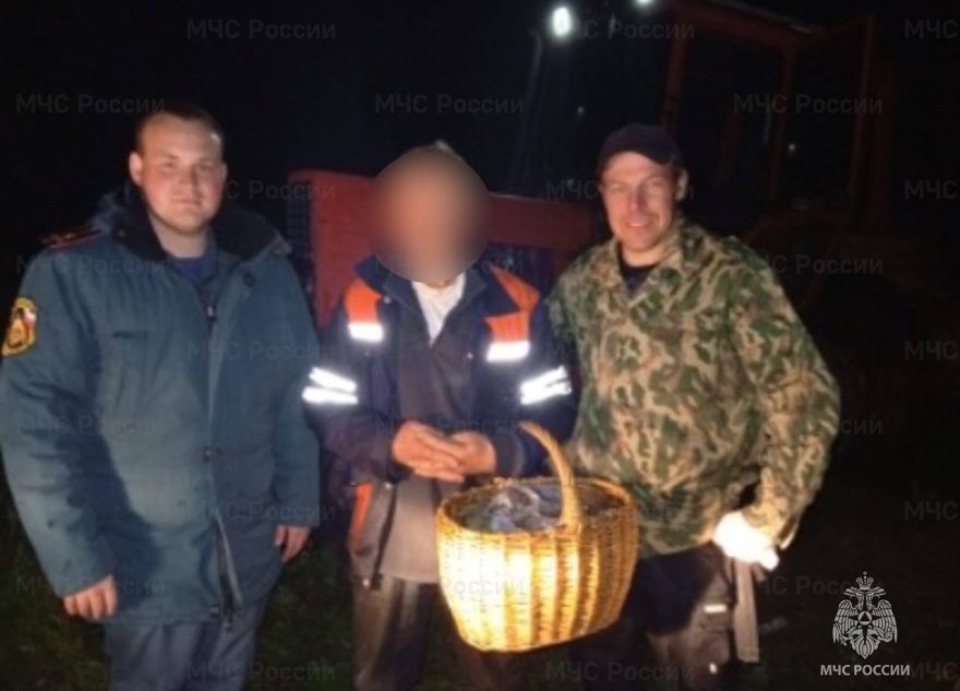 За сутки в Тверской области вывели из лесов больше десяти заблудившихся грибников заблудившихся