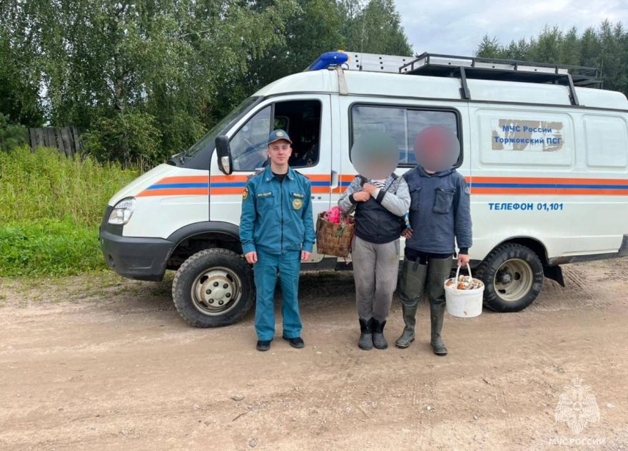 9 заблудившихся грибников вывели из лесов Тверской области за сутки грибников