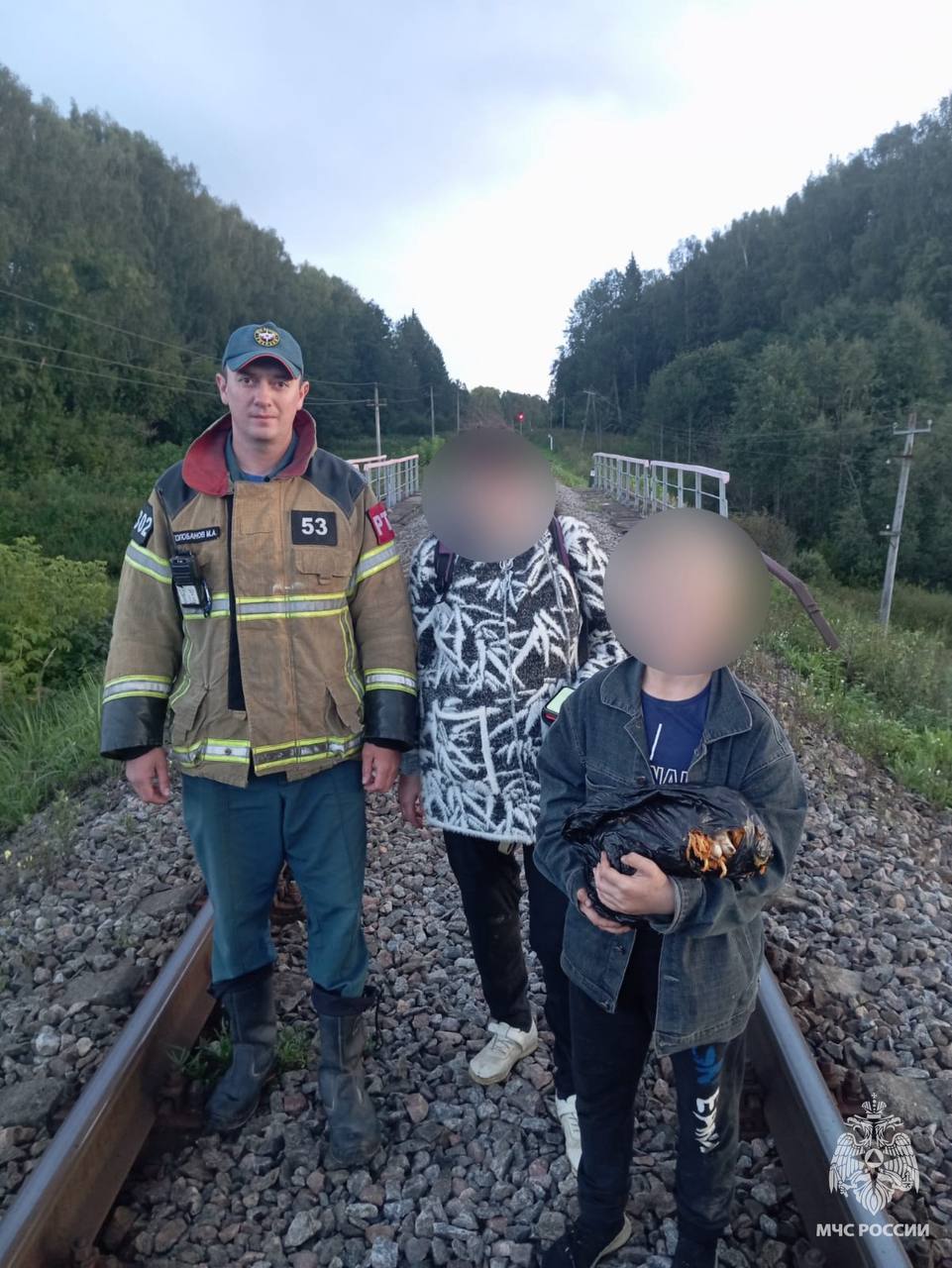 9 заблудившихся грибников вывели из лесов Тверской области за сутки