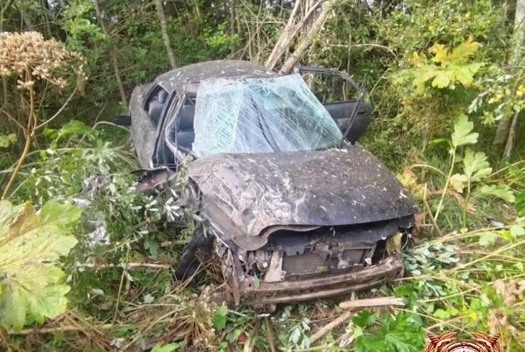 Три человека пострадали из-за неудачного обгона в Тверской области обгон