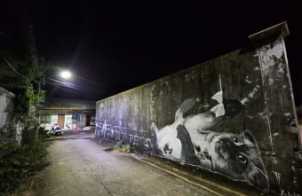 Тверская художница Катя ХБ подарила Таиланду очередной шедевр художница