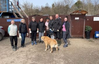 Защита братьев меньших: как в Тверской области реализуется проект по охране животного мира