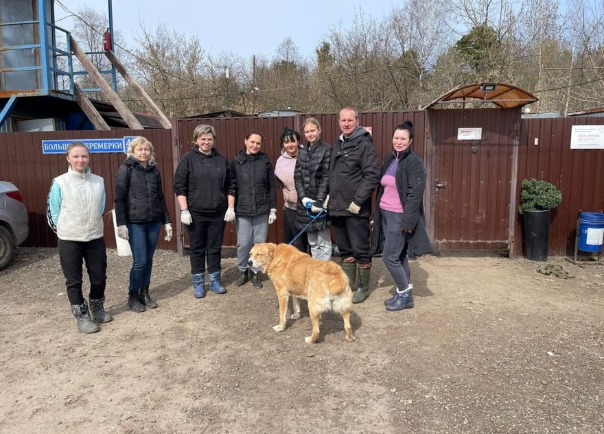 Защита братьев меньших: как в Тверской области реализуется проект по охране животного мира Защита братьев меньших: как в Тверской области реализуется проект по охране животного мира