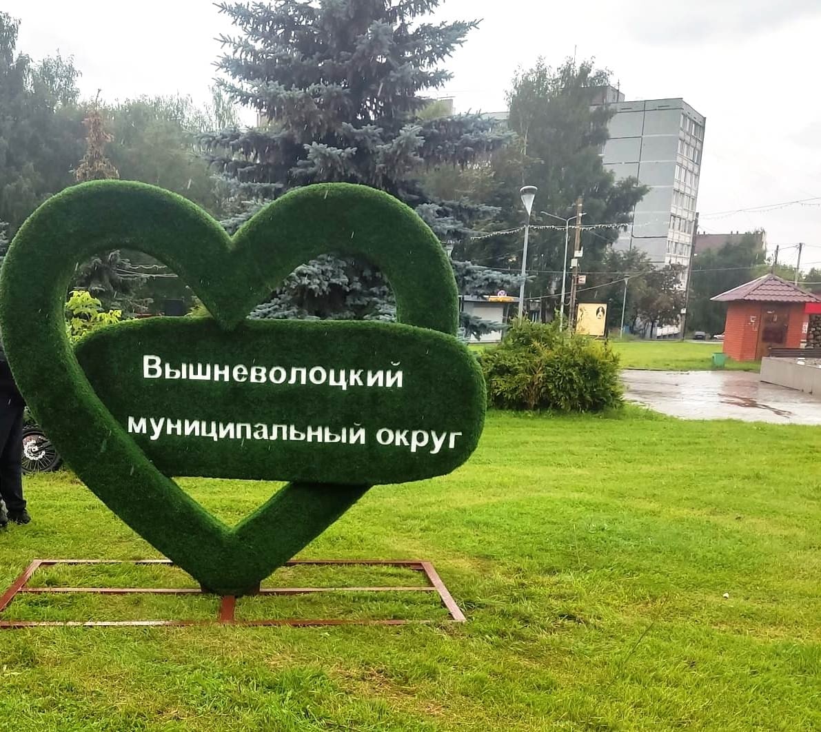 В Вышнем Волочке красуются зелёные лошади
