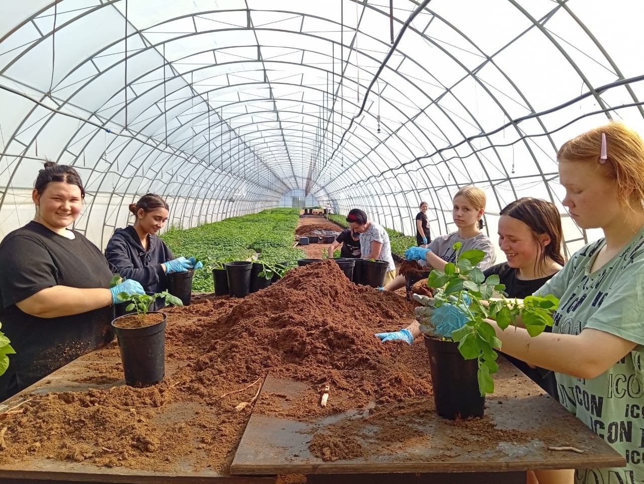 Подростки Тверской области получают трудовой опыт
