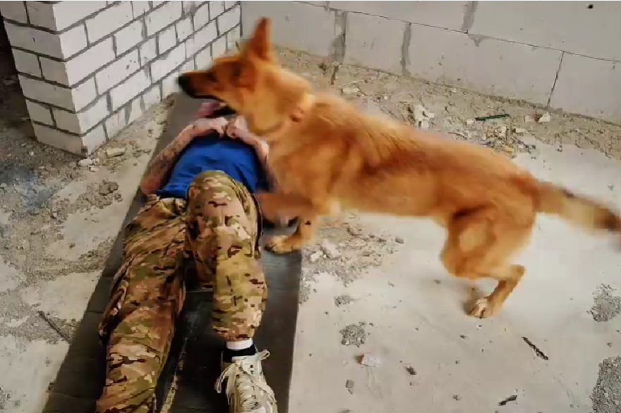 В Тверской области набирают собачников для поиска людей