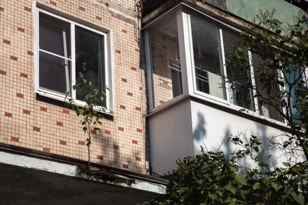 Жителей Тверской области атаковали летучие мыши летучие мыши