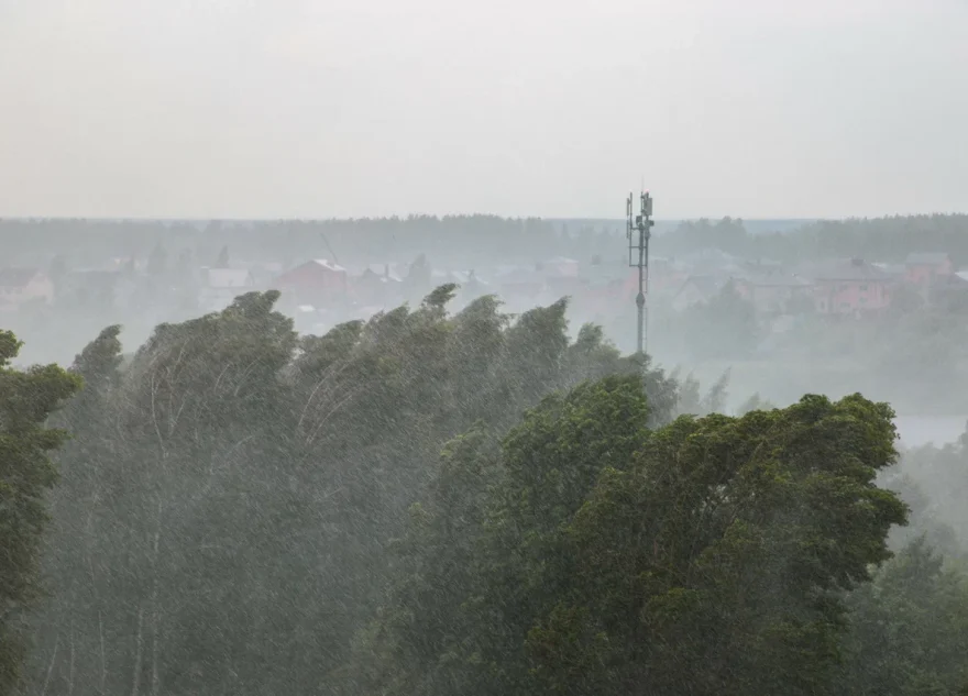 предупредили