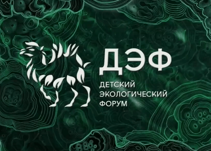 Юные экологи из Тверской области представили лучший проект по озеленению Юные экологи из Тверской области представили лучший проект по озеленению