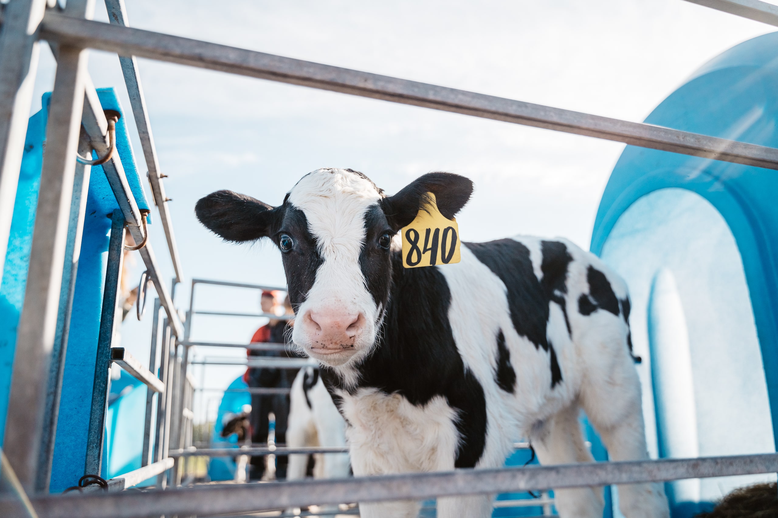 В Тверской области построили телятник и картофелехранилища
