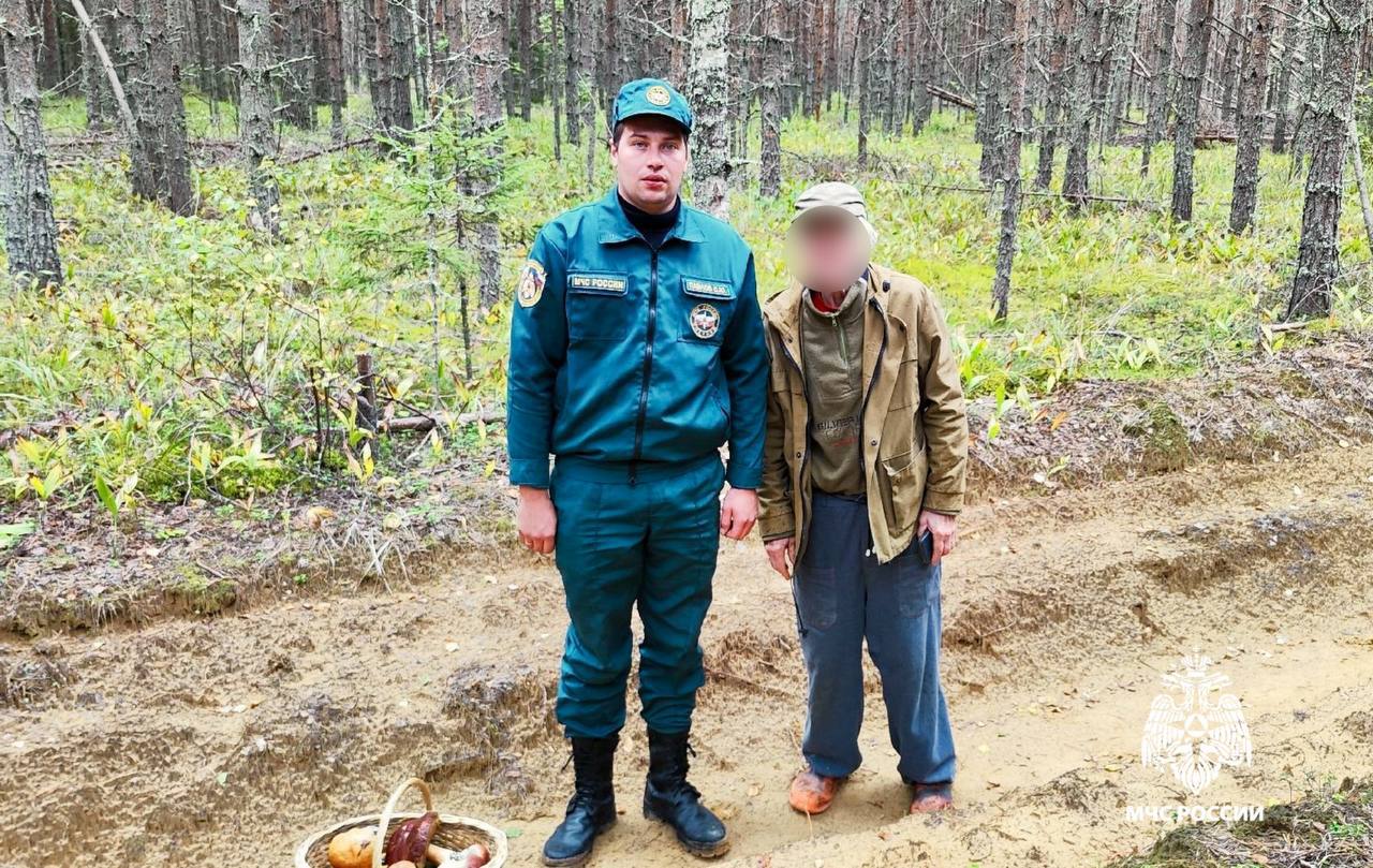 леса