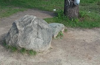 Из-за отсутствия остановки жители Тверской области ждут автобус на камнях камнях