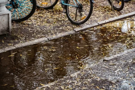 Синоптики дали прогноз на приближающуюся осень в Тверской области Синоптики дали прогноз на приближающуюся осень в Тверской области