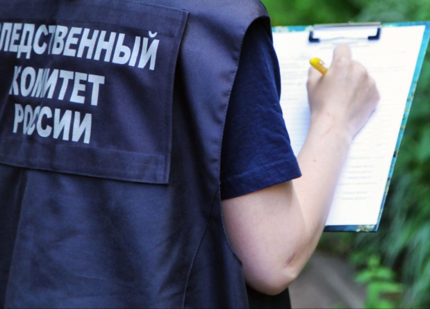 В Тверской области пара прекрасных лебедев воспитывает птенцов девочка