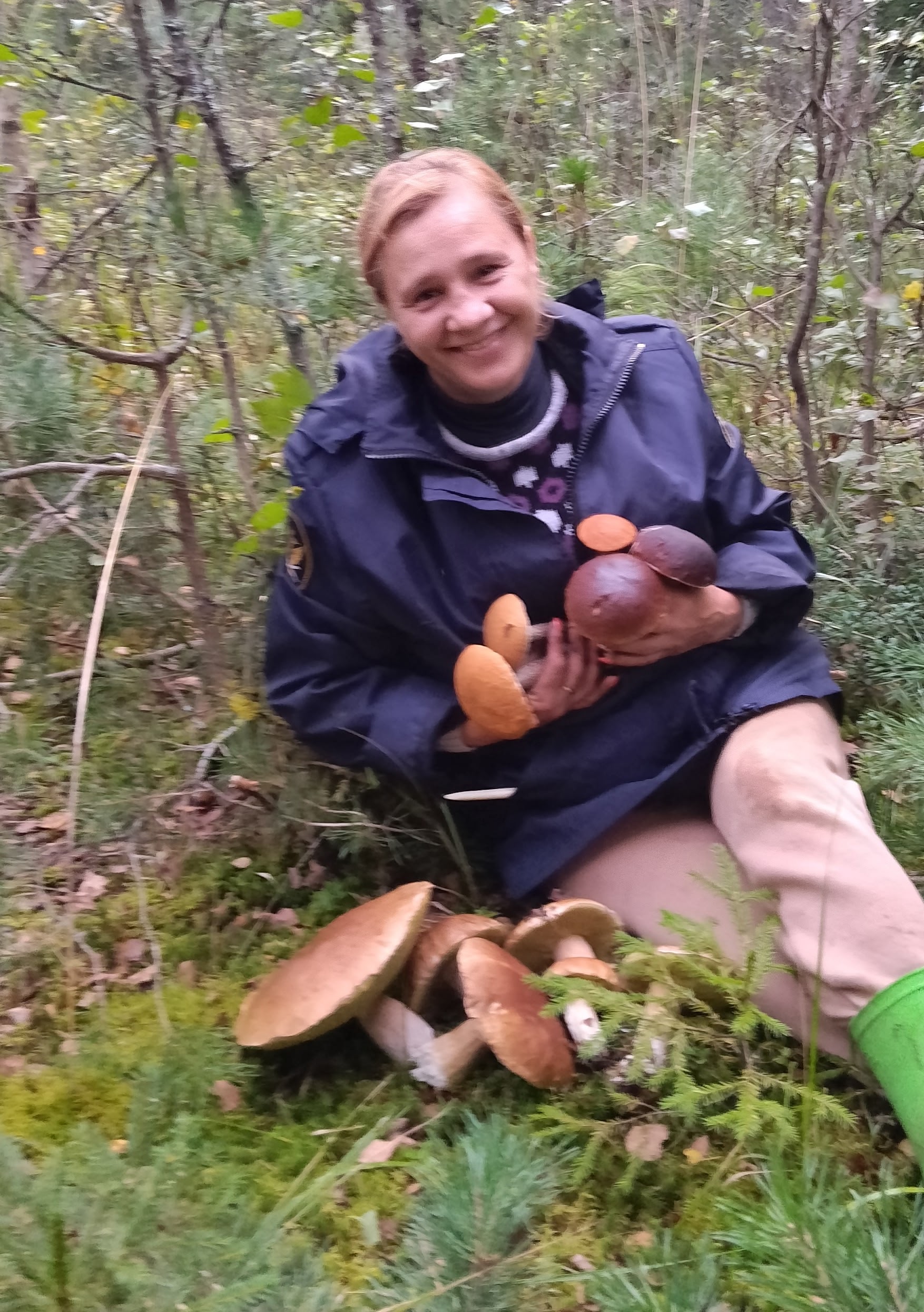 В лесах Тверской области стало еще больше грибов