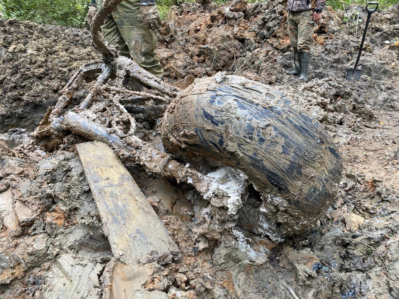 В Тверской области нашли бомбардировщик, горевший в воздухе