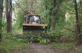 Благоустройством школьного парка занялись в Лихославле Благоустройством школьного парка занялись в Лихославле