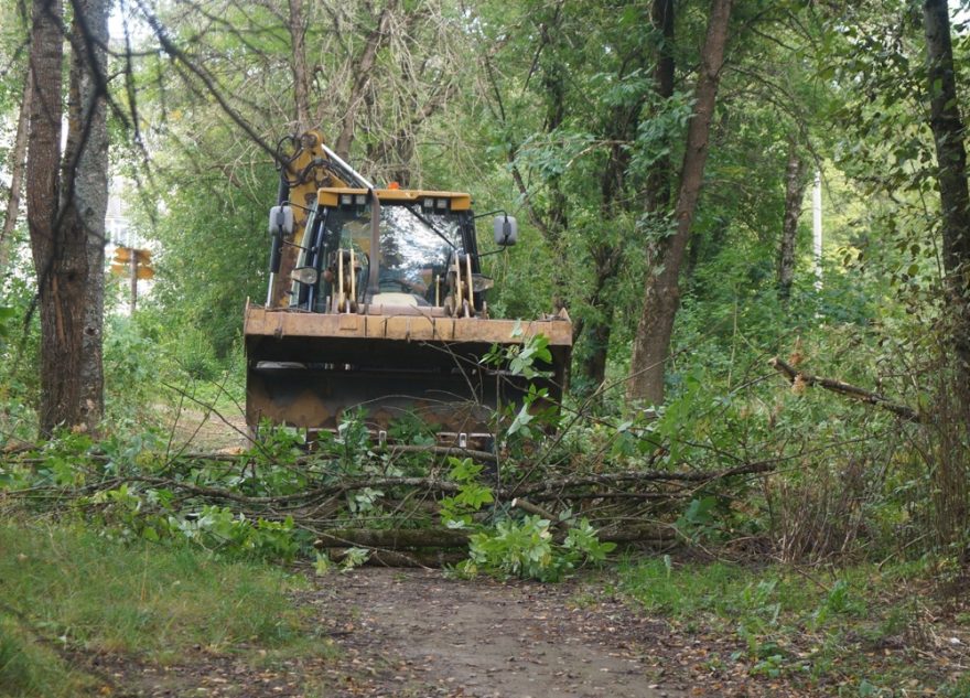 Благоустройством школьного парка занялись в Лихославле