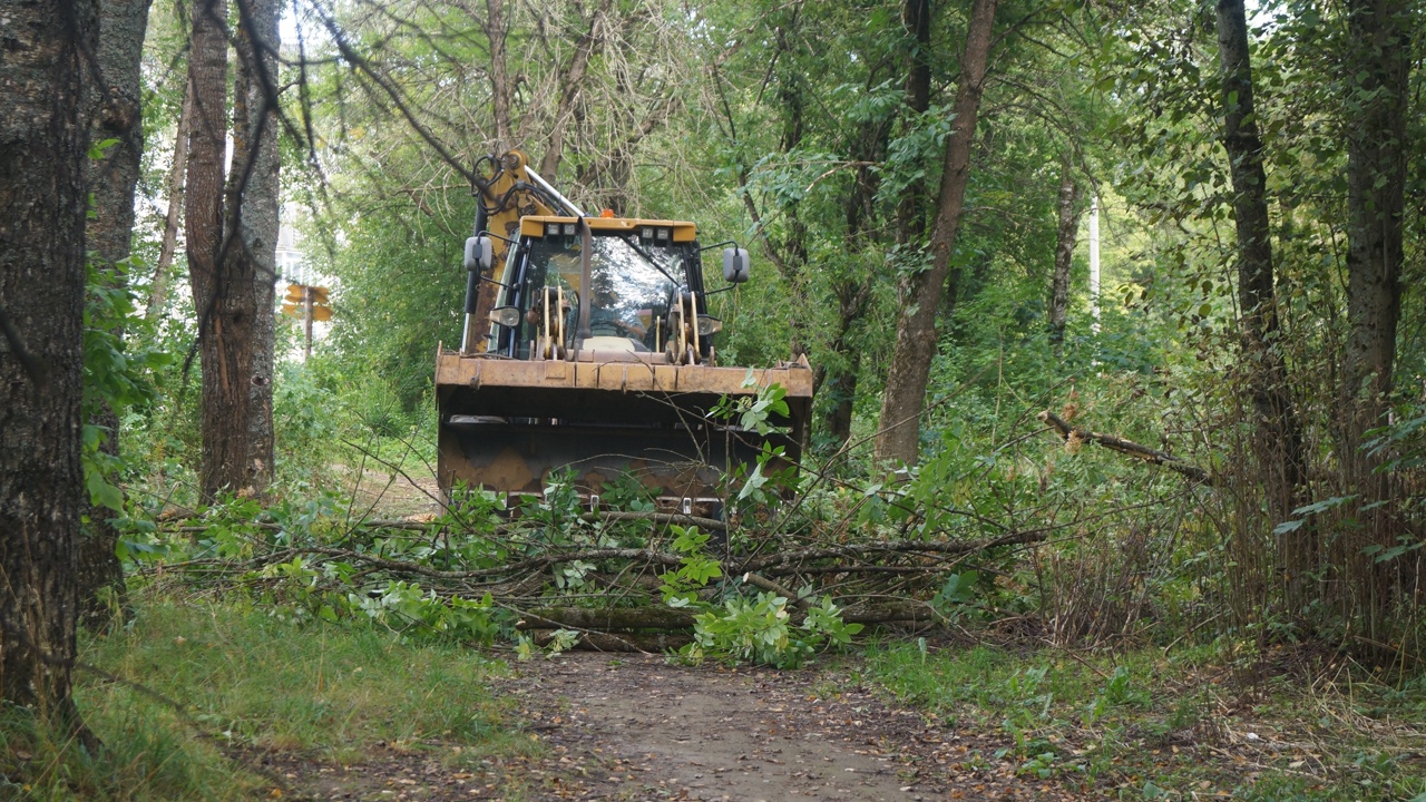 Благоустройством школьного парка занялись в Лихославле