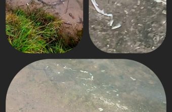 «Рыбачка Соня» из Тверской области вызвала бурные споры в соцсетях рыбачка