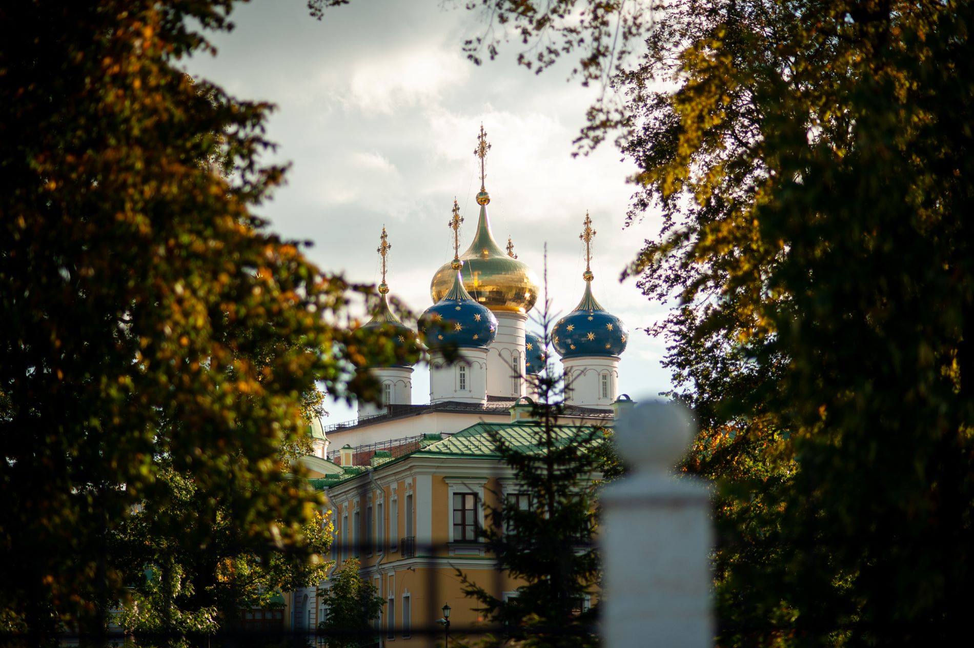 Синоптики сообщили, когда в Тверскую область придет бабье лето