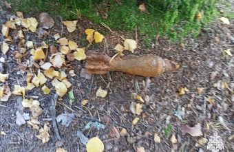 В Тверской области ликвидировали мину Мину