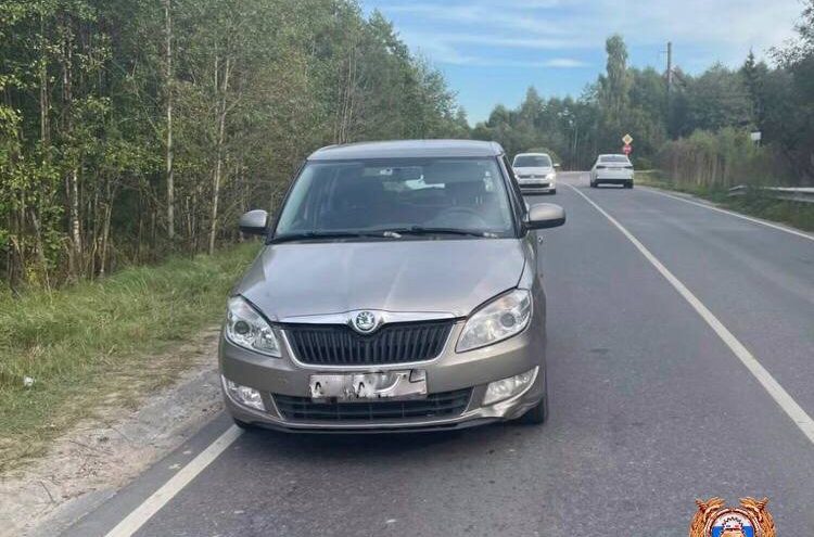 В Тверской области сбили пешехода, идущего вдоль дороги