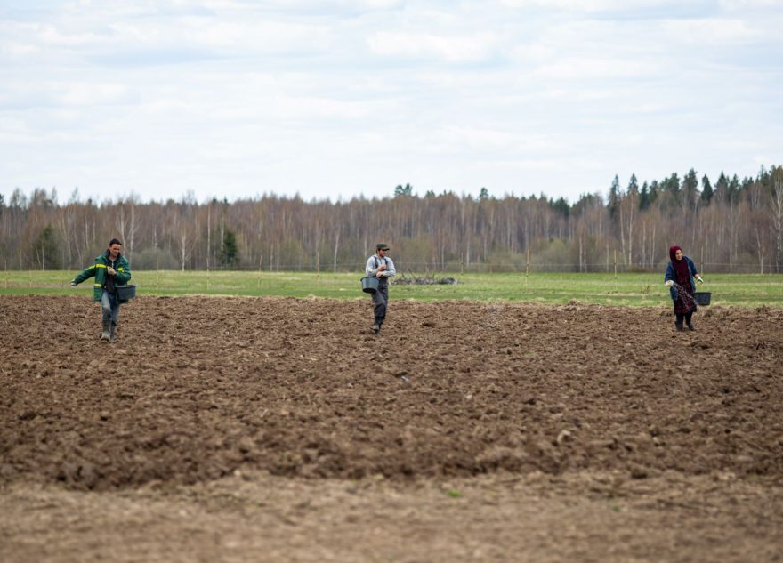 штрафовать