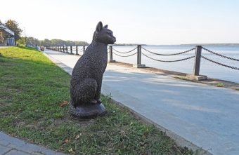 В Тверской области всем городом придумывают имя легендарному коту легендарному