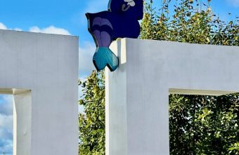 В краю рыбаков в Тверской области завелась русалка русалка