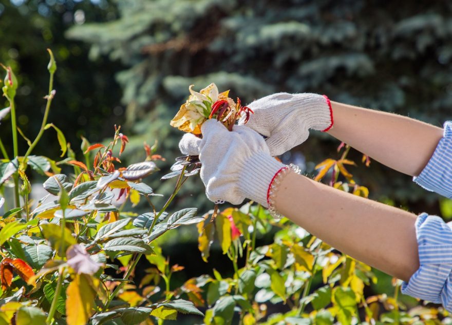 Игорь Руденя поручил увеличить количество трудоустроенных подростков в Тверской области