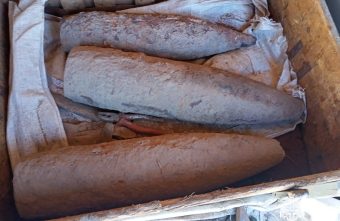 «Эхо войны»: в Тверской области обезвредили три артиллерийских снаряда «Эхо войны»: в Тверской области обезвредили три артиллерийских снаряда