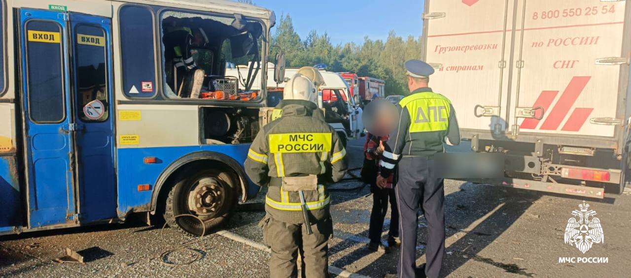 В Тверской области 8 человек пострадали в ДТП с дачным автобусом