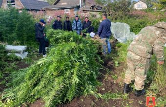 В Тверской области служебная собака помогла найти спрятанные наркотики собака