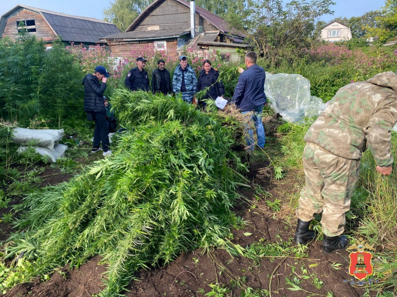 В Тверской области служебная собака помогла найти спрятанные наркотики собака