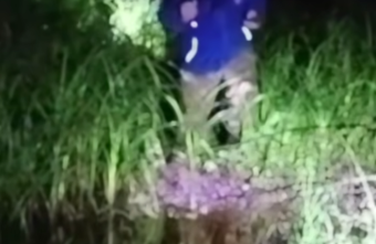 заблудившихся