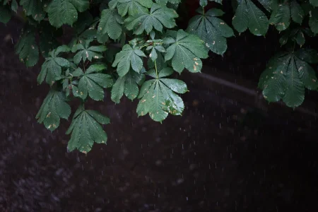 Синоптики рассказали, на что надеяться жителям Тверской области в выходные выходные