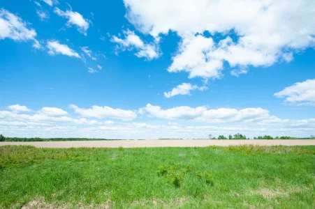 Из-за внепланового лета в Тверской области пожароопасность достигла 4 класса класса