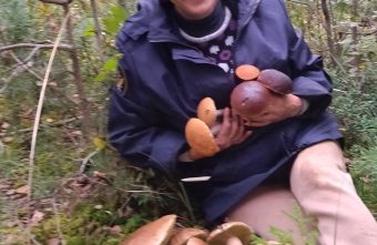 Стало известно, будут ли в октябре грибы в Тверской области грибы