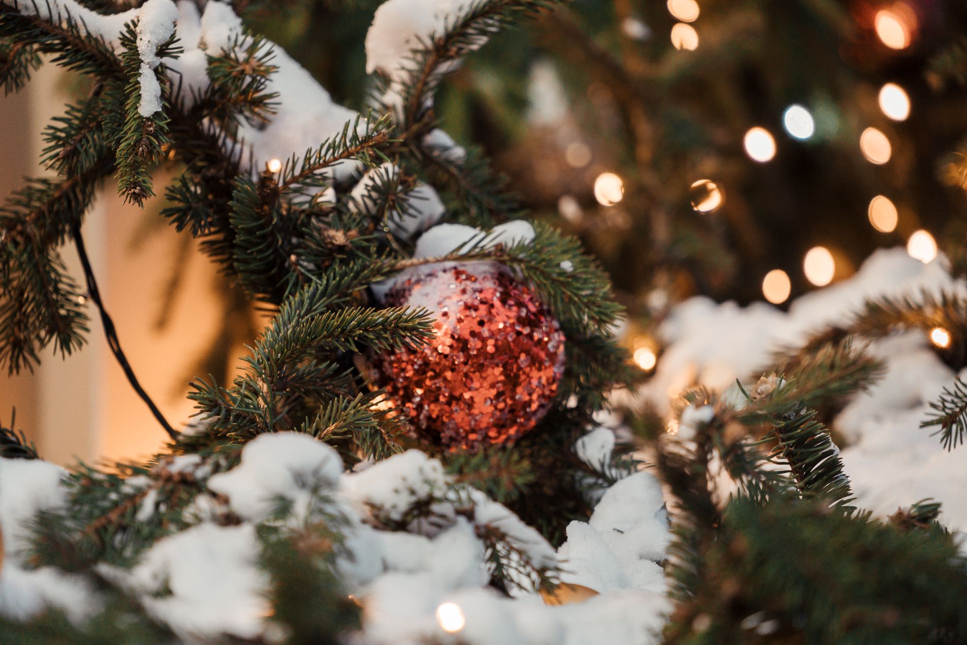 Жители Тверской области могут продлить новогодние праздники на четыре дня