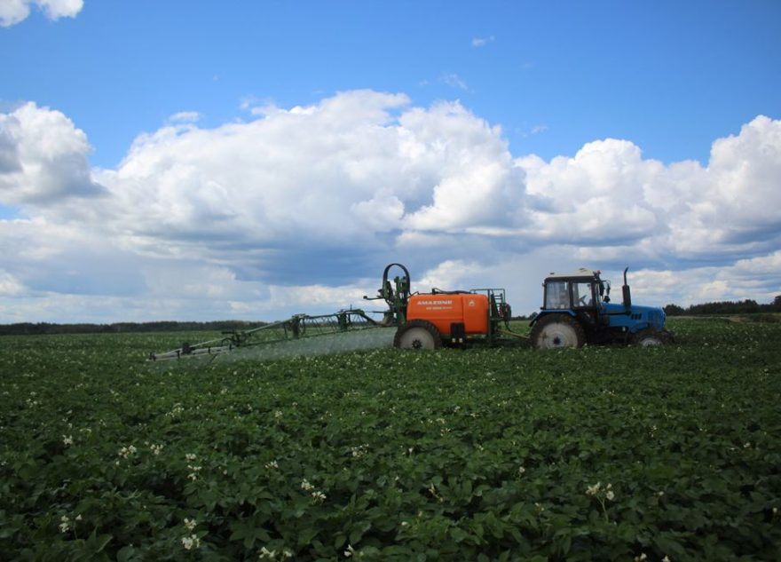 В Ржевском округе прибавилось посевных площадей