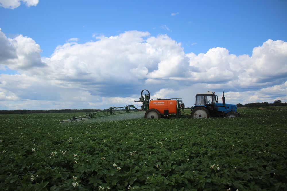 В Ржевском округе прибавилось посевных площадей